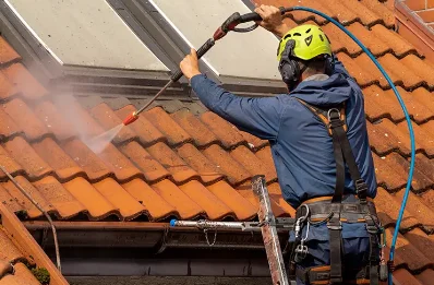 Démoussage et hydrofuge de toiture à Pouillac